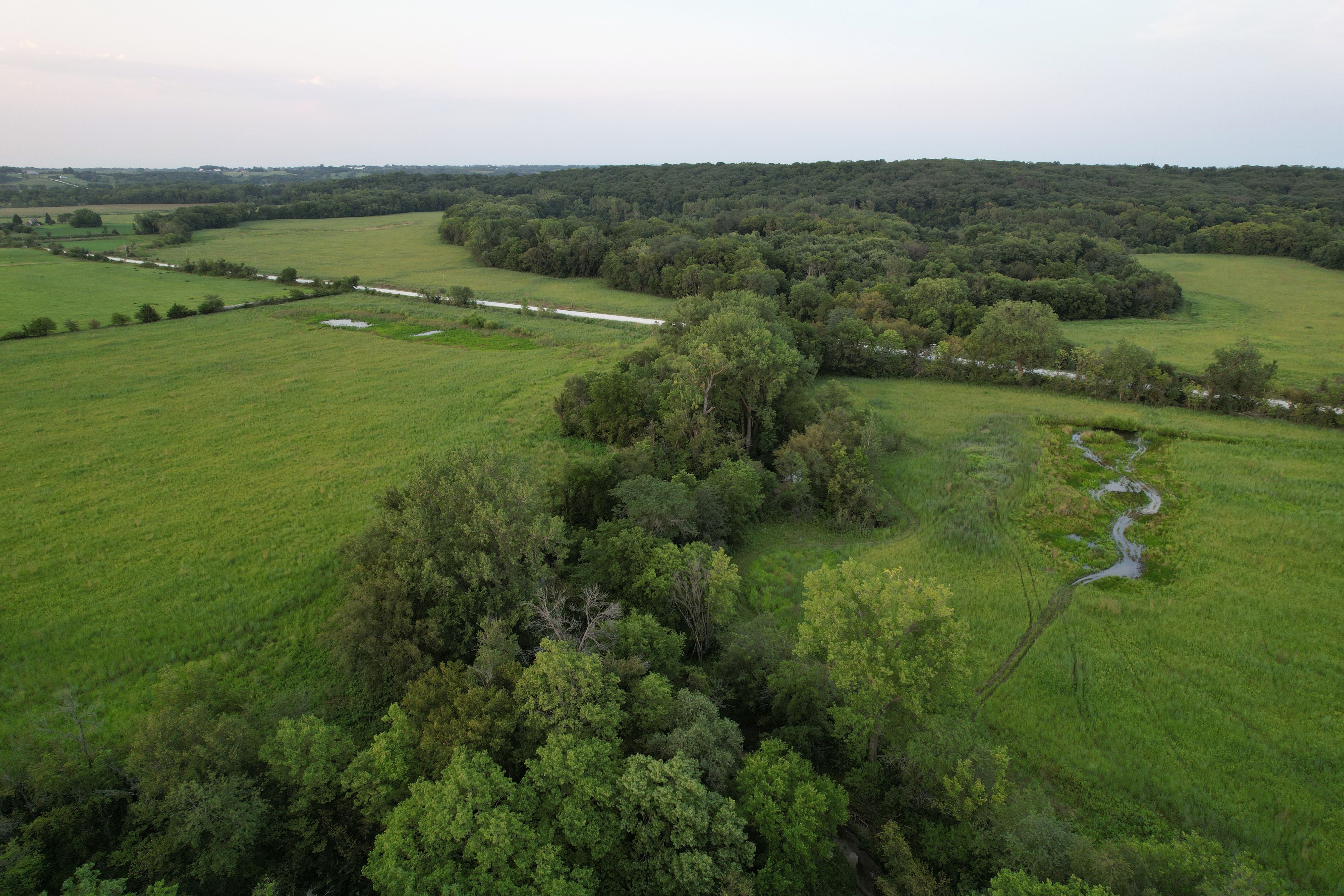 Listing Photo: Krumme Drone (42)